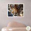 PBNAU - WHITE FRAME Tiger Close Up