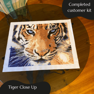 Tiger closeup