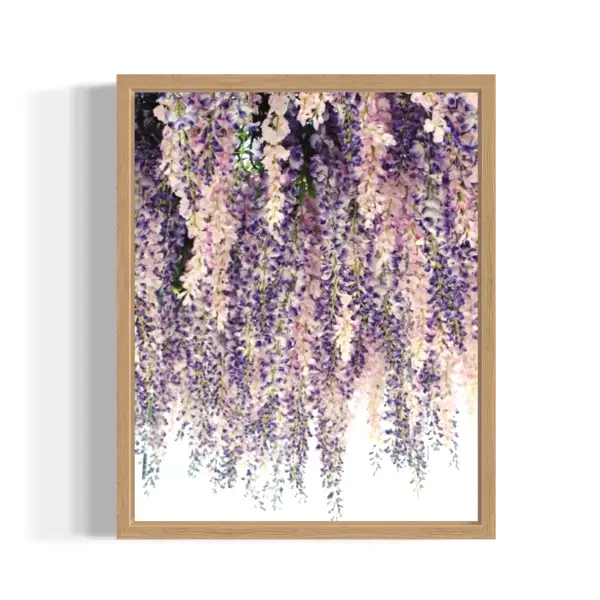 purple wisteria