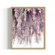 purple wisteria