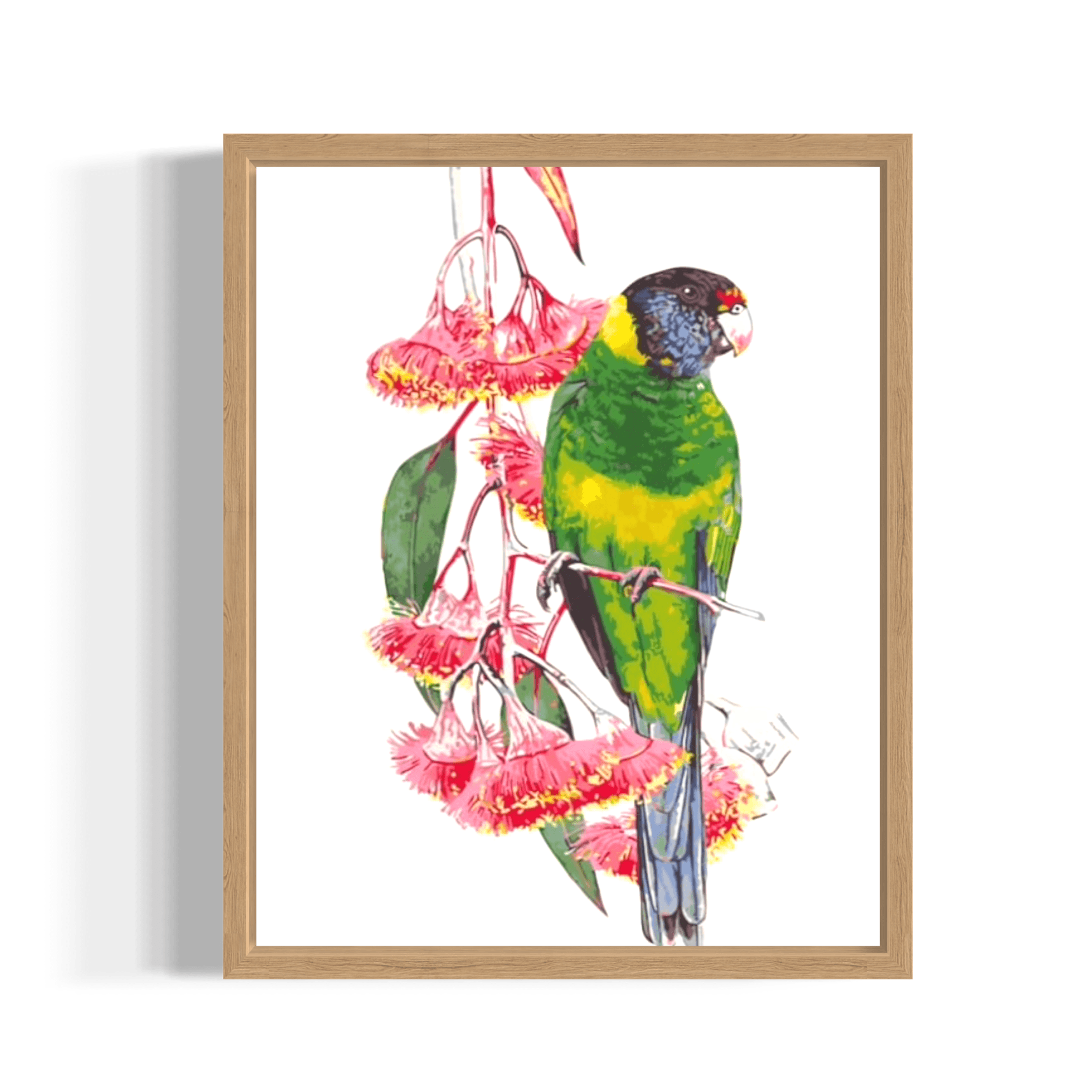 Ringneck Parrot and Eucalyptus by Heidi Willis