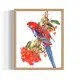 rosella and flowering gum