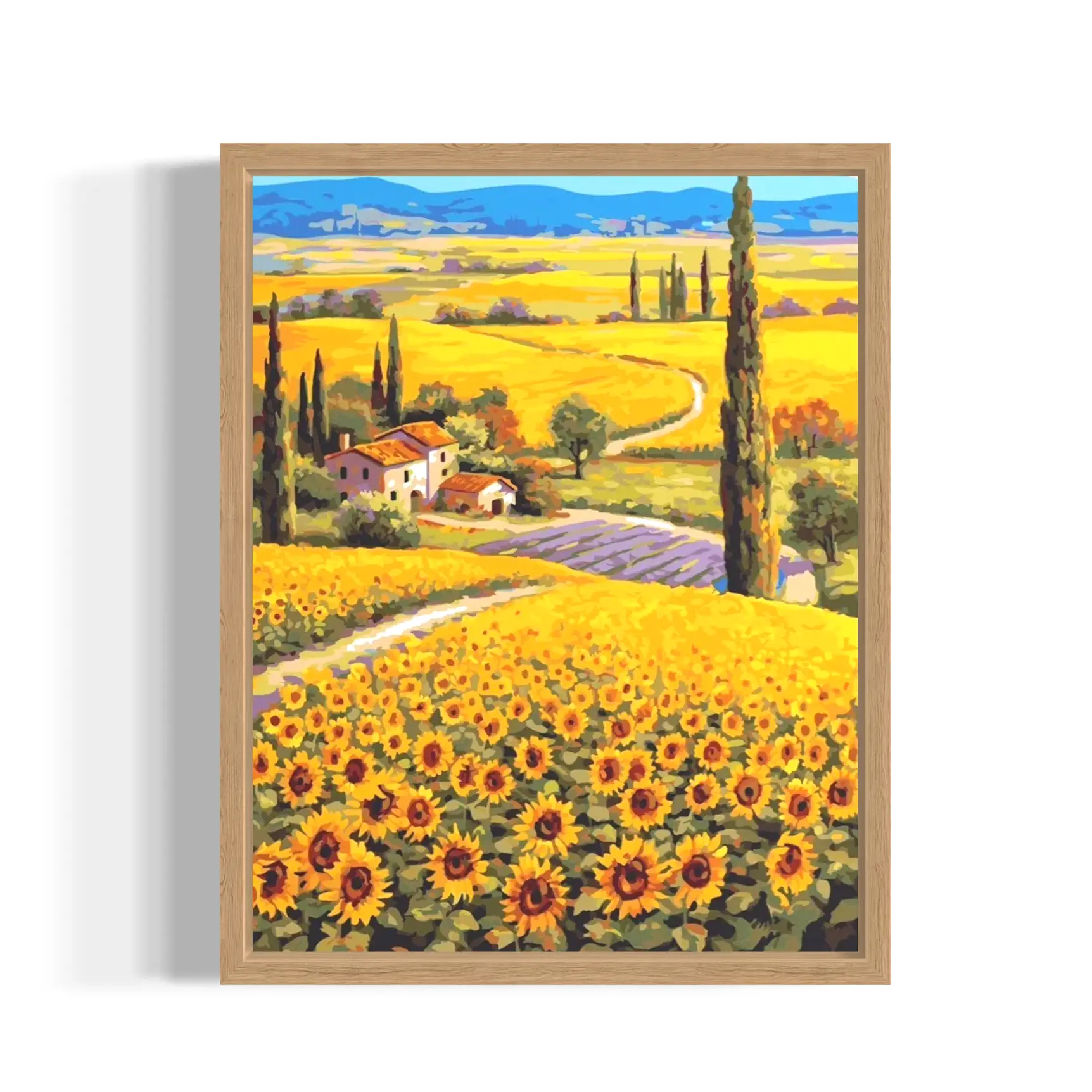 Sunflower Field in Tuscany