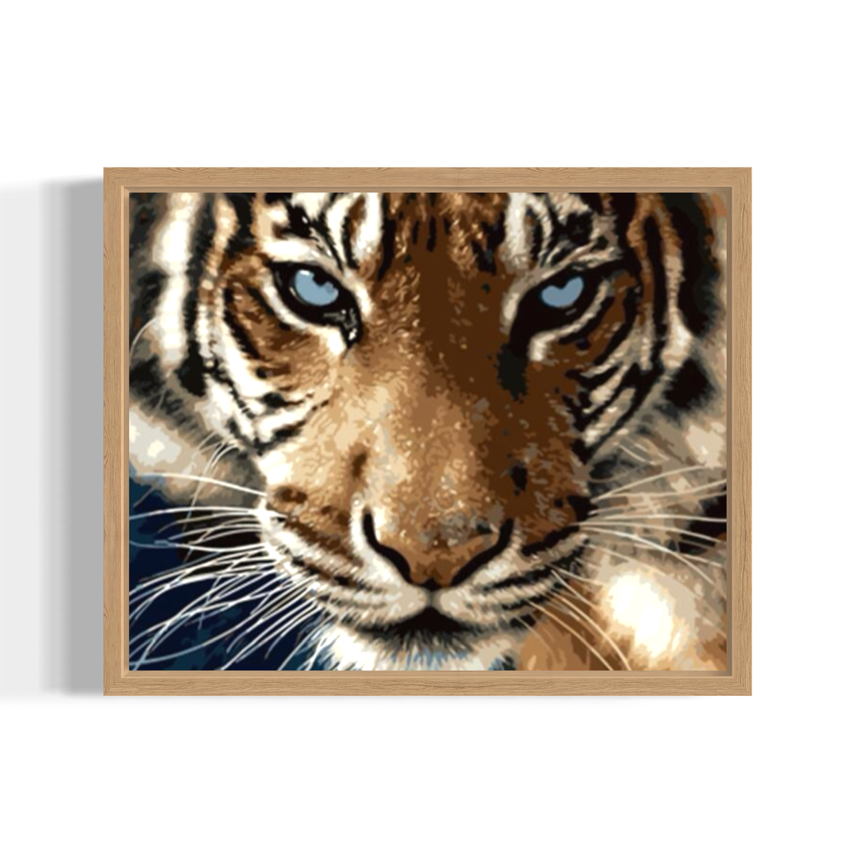 Tiger closeup