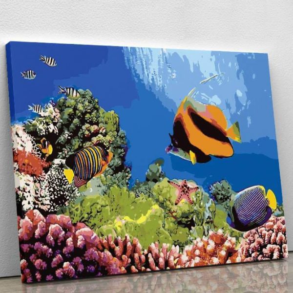 great barrier reef