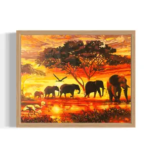 Elephant herd at sunset