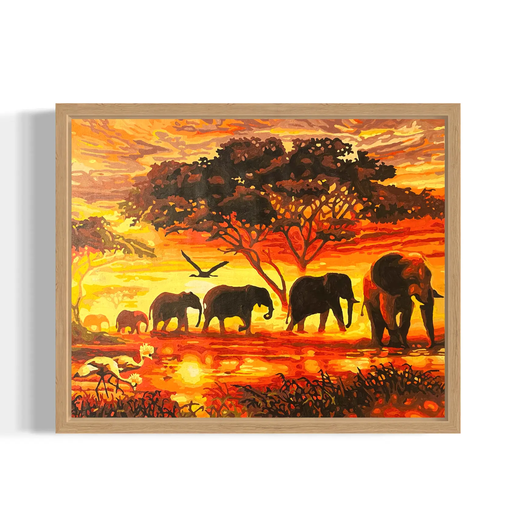 Elephant herd at sunset