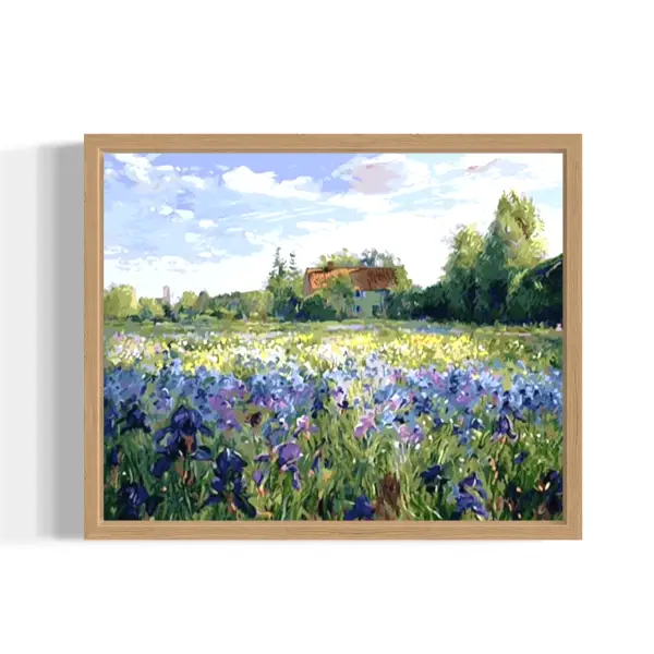 field of wild irises