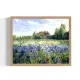 field of wild irises