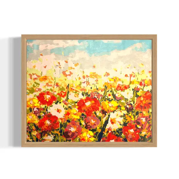 *colourful field of poppies