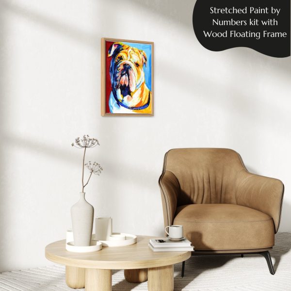 Abstract Bulldog paint by numbers kit