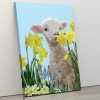 Baby Lamb Paint By Numbers