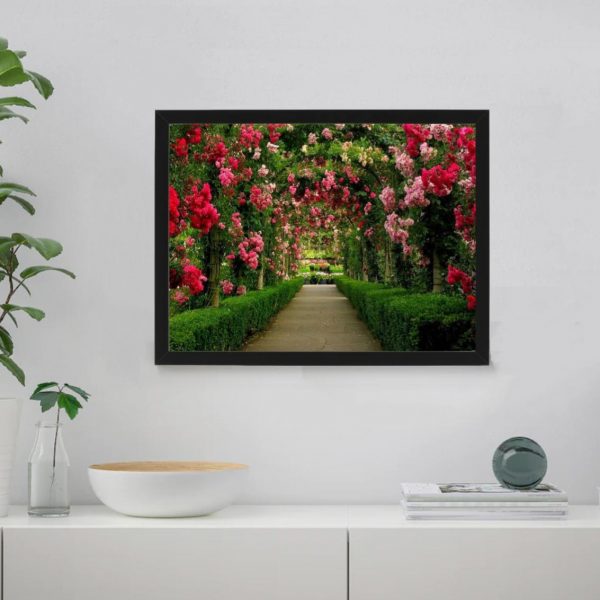Through the Rose Garden Paint By Numbers