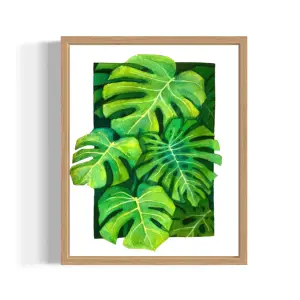 Monstera