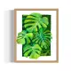 *Monstera