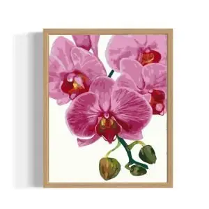 Purple Orchid