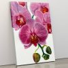 purple orchid paint by numbers kit