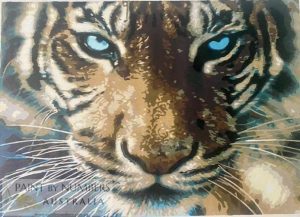 Tiger closeup