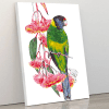 AUSTRALIAN RINGNECK PARROT AND EUCALYPTUS paint by numbers kit