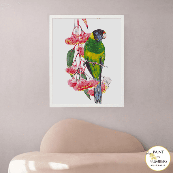 AUSTRALIAN RINGNECK PARROT AND EUCALYPTUS paint by numbers kit