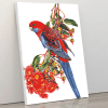 Rosella and Flowering Gum Rosella and Flowering Gum paint by numbers kit