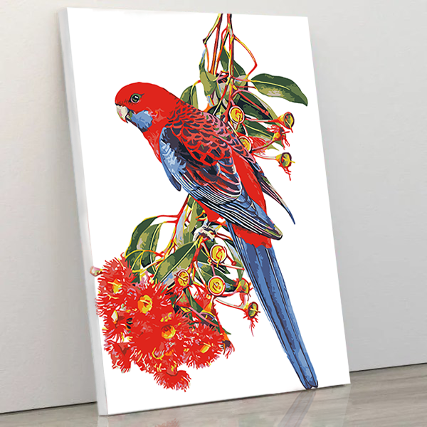 Rosella and Flowering Gum Rosella and Flowering Gum paint by numbers kit