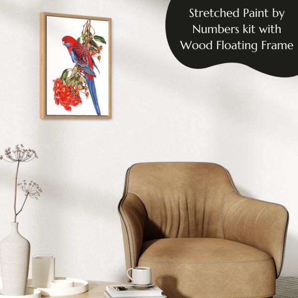 IMG_1977 ROSELLA AND FLOWERING GUM BY HEIDI WILLIS paint by numbers kit with floating frame