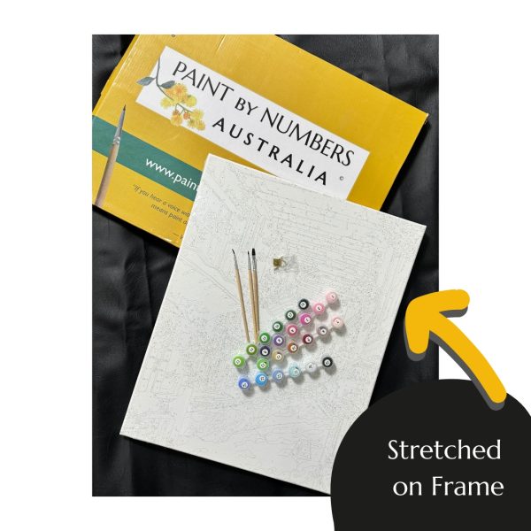 stretched on frame paint by numbers