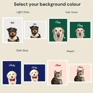 Paint My Pet – Custom Pet Portrait Paint by Numbers Kit