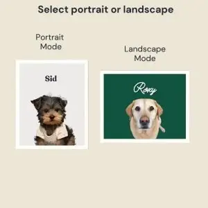 Paint My Pet – Custom Pet Portrait Paint by Numbers Kit