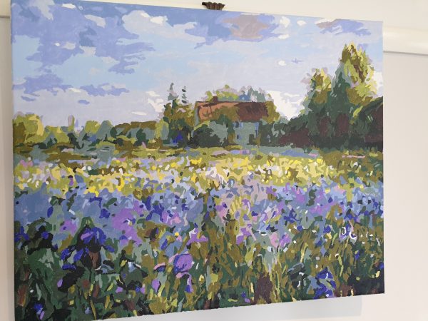 Field of wild irises (1)