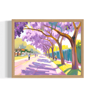 Adelaide Jacaranda